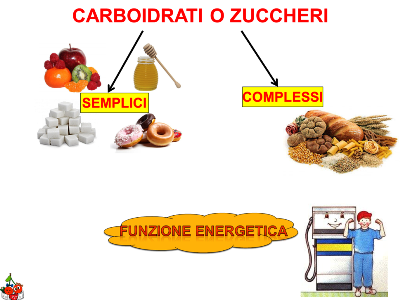 nutrizione - carboidrati