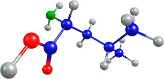 nutrizione - proteine